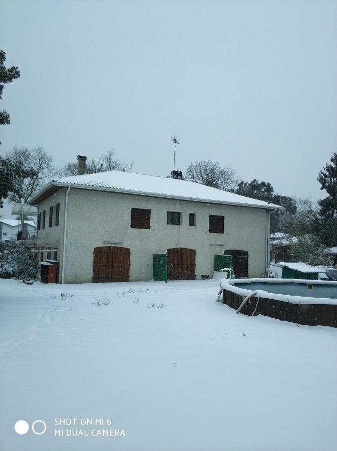 Les Bananiers Appartement Capbreton Buitenkant foto